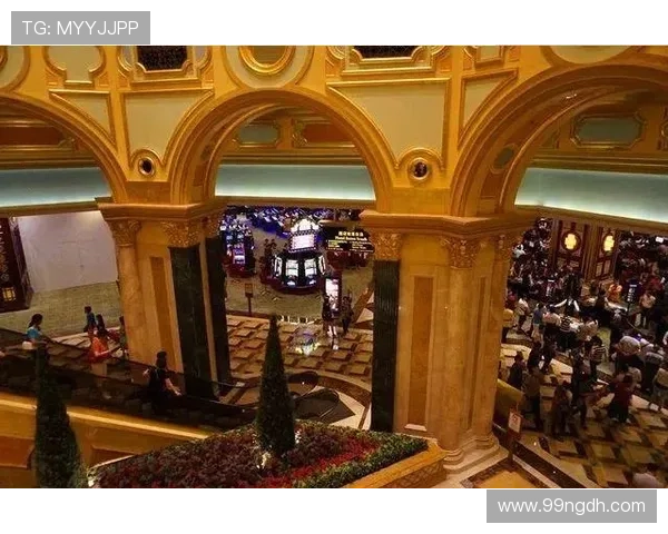 全面解析澳门开码表的使用与技巧